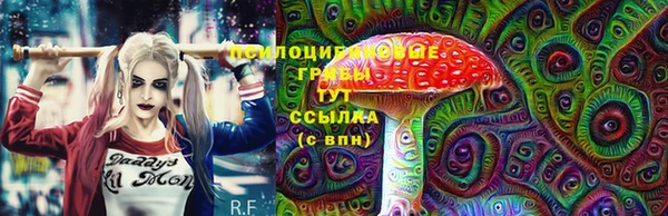таблы Алзамай