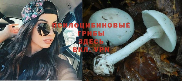 эйфоретик Алексеевка